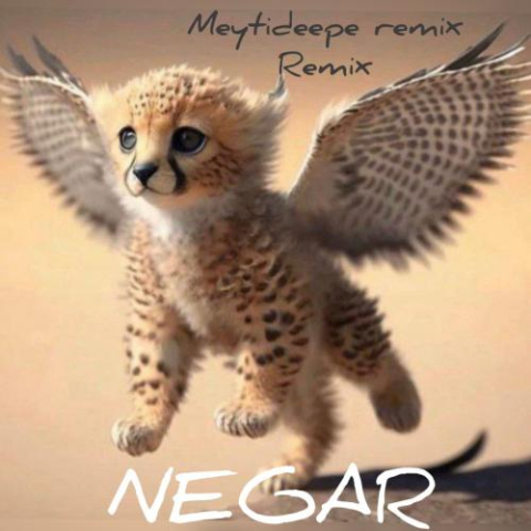 meyti deepe negar remix 2023 03 02 13 59