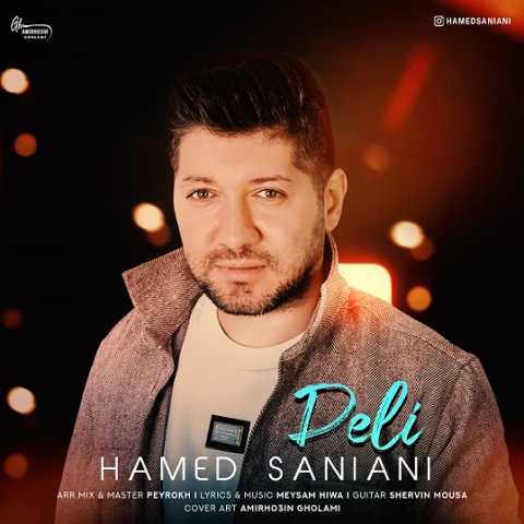 hamed saniani deli 2023 11 23 16 33