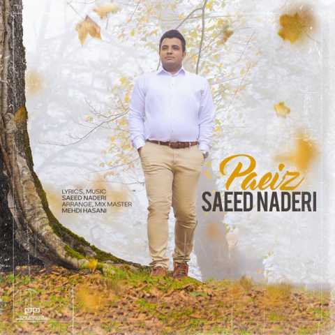 saeed naderi paeiz 2023 11 02 08 54