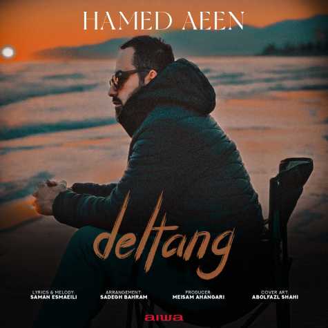 hamed aeen deltang 2024 03 27 13 01