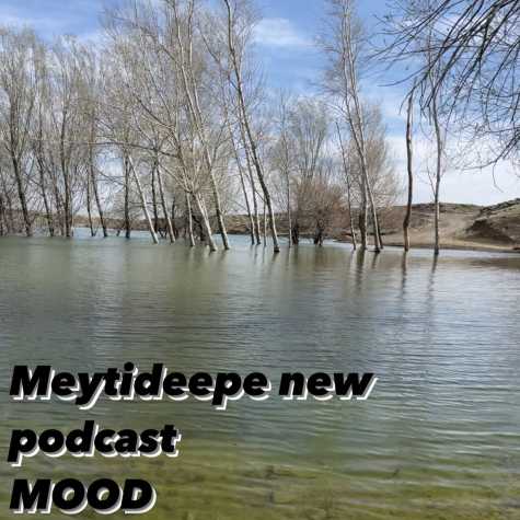 meytideepe podcast mood 2024 04 23 16 04