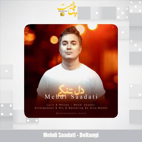 mehdi saadati deltangi 2025 02 15 17 34