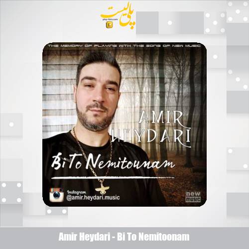 amir heydari bi to nemitoonam 2025 04 30 12 49