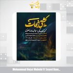 دانلود آهنگ محمدحجت محبی , سیدحمیدرضا علوی نماهنگ کشتی نجات