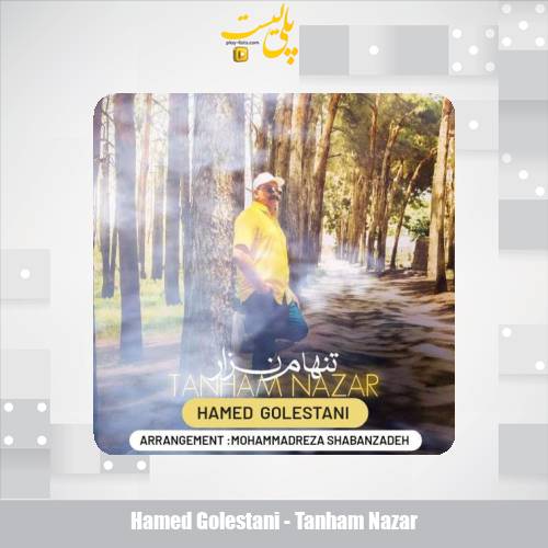 hamed golestani tanham nazar 2025 05 28 18 35