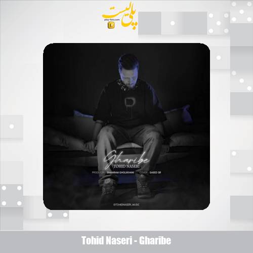 دانلود آهنگ توحید ناصری غریبه 1 tohid naseri gharibe 2025 07 27 14 30