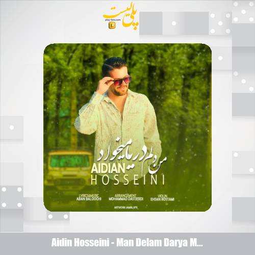 aidin hosseini man delam darya mikhad 2025 09 29 09 55