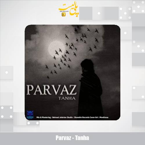 parvaz tanha 2025 11 18 12 40