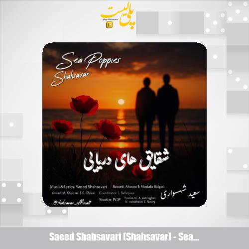 saeed shahsavari shahsavar sea poppies 2025 11 12 18 20